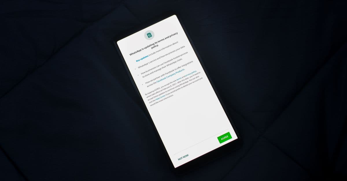Android telefonda fotoğraf ayrıntılarını kontrol eden kullanıcı
