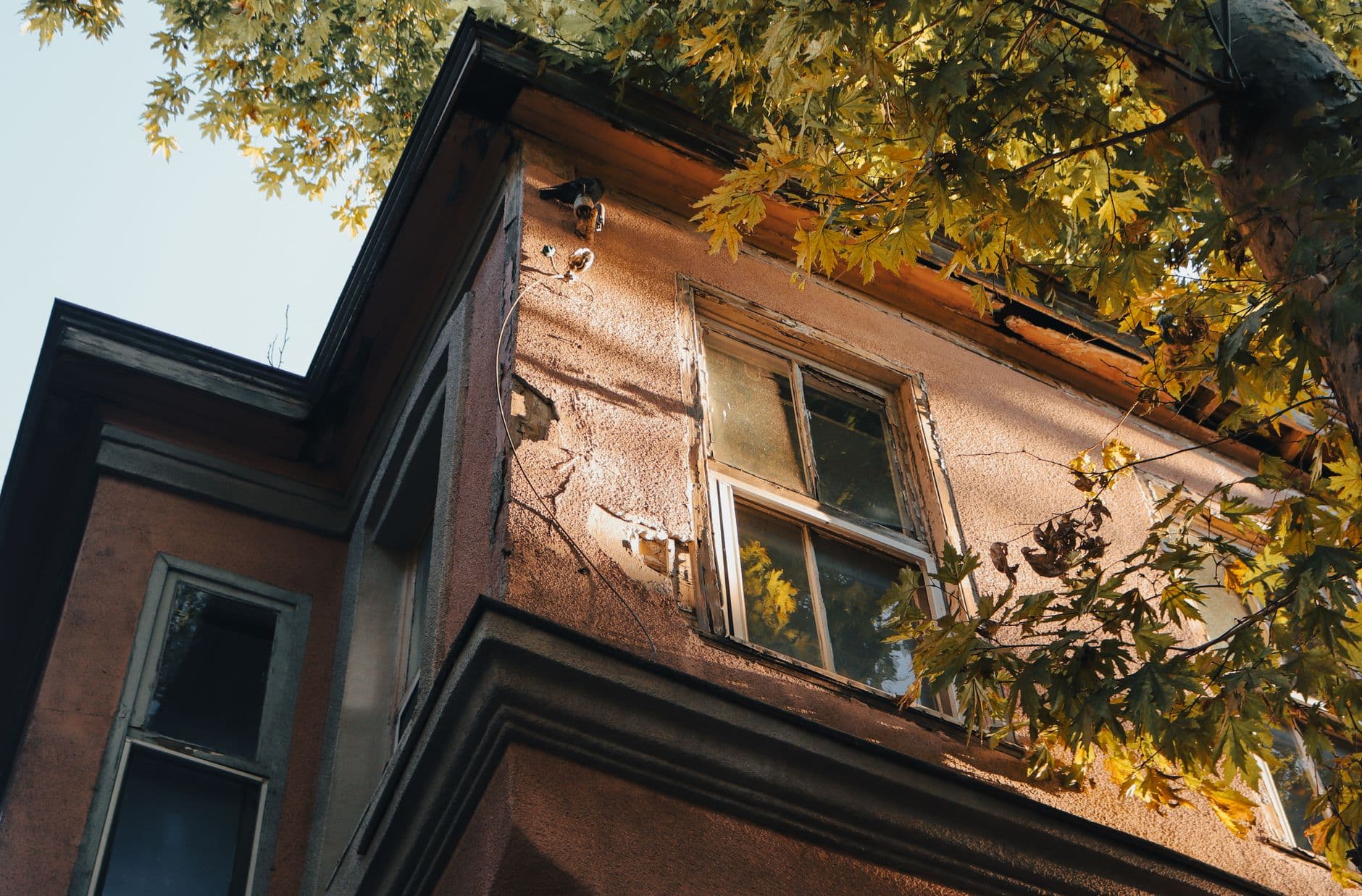 Gece uykusunda yoğun bir rüya gören kişi