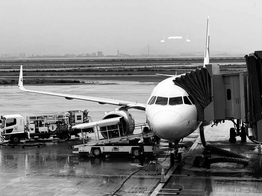Dünya Kupası 2026: Türk Taraftarlarının ABD Yolculuğu ve Stadyum Hazırlıkları