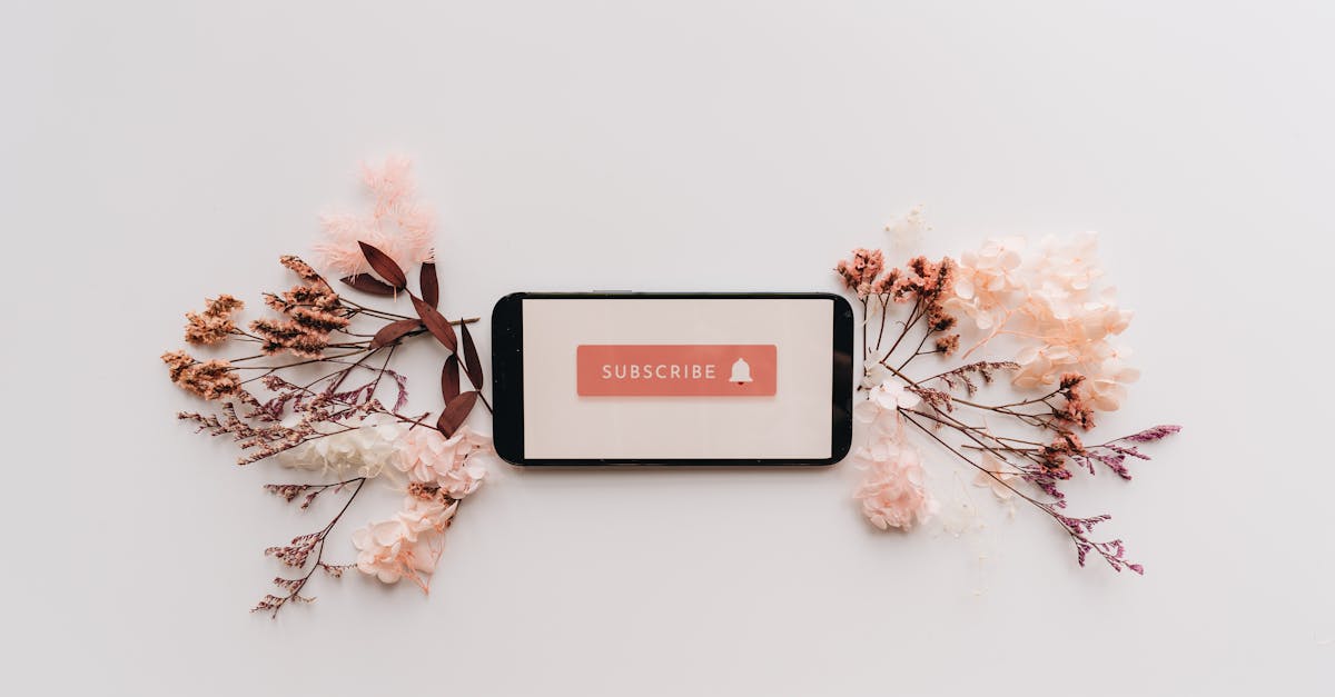 YouTube içerik üreticileri ve sosyal medya etkileşimleri