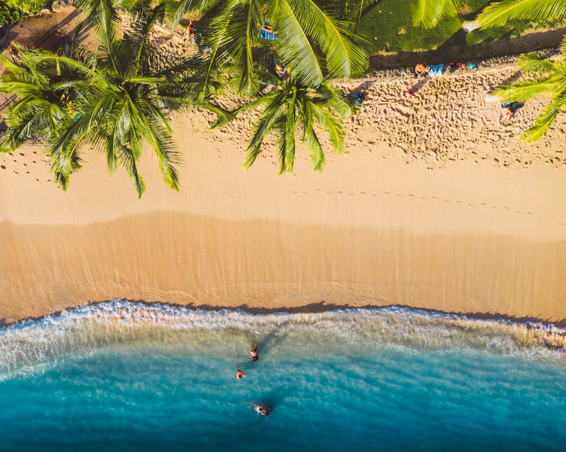 Survivor 2026 Birleşme Partisi Bugün Başlıyor! Üç Günlük Şov Programı ve Şarkı Yarışması İzleyiciyle Buluşuyor