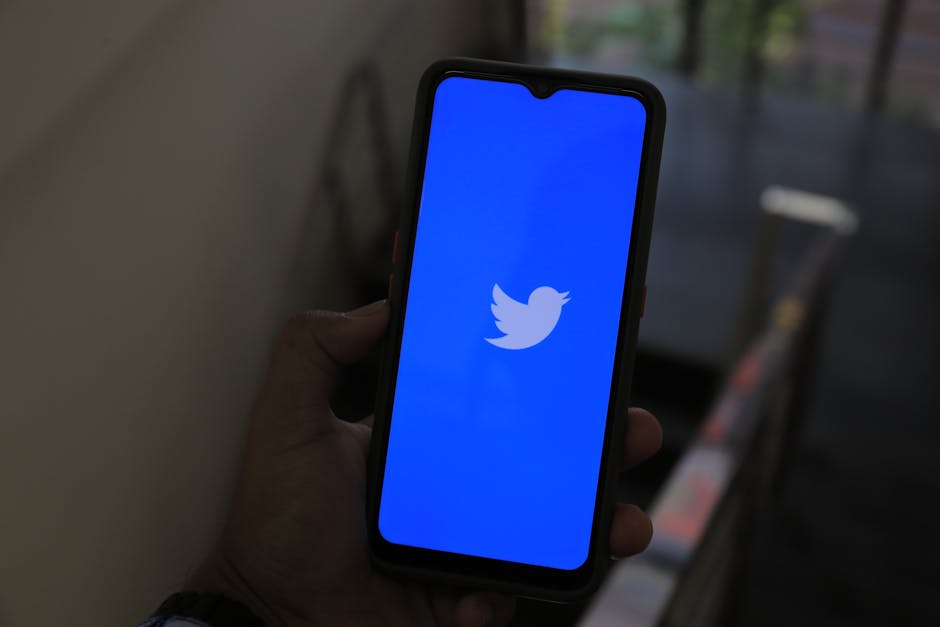 Türkiye'de En Çok Paylaşılan 10 İnternet Memi ve Gündem 2026